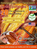 Soft and Sweet Skin-On Dried Sweet Potato-Lynn