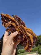 🐮Premium Angus Brisket Bites – Grass-Fed, Tender & Naturally High in Protein-Lynn