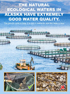 🦀Alaskan Snow Crab Ready-to-EatCrispy Crab-Lynn