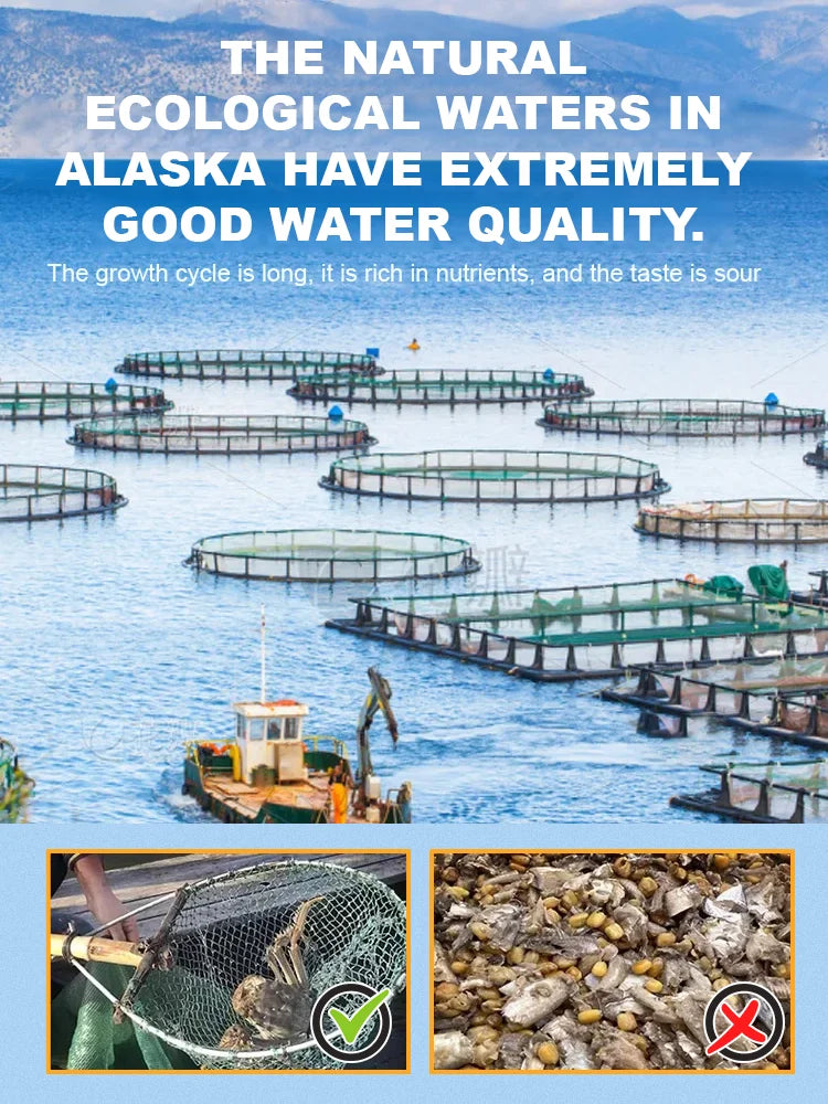 Alaskan Snow Crab Ready-to-EatCrispy Crab-Lynn